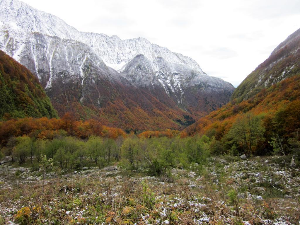 Villa Bezgova Hisica Bovec Esterno foto