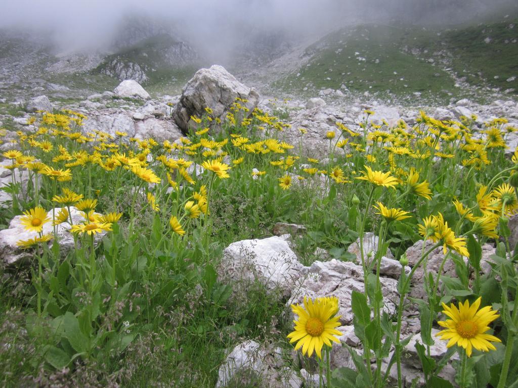 Villa Bezgova Hisica Bovec Esterno foto