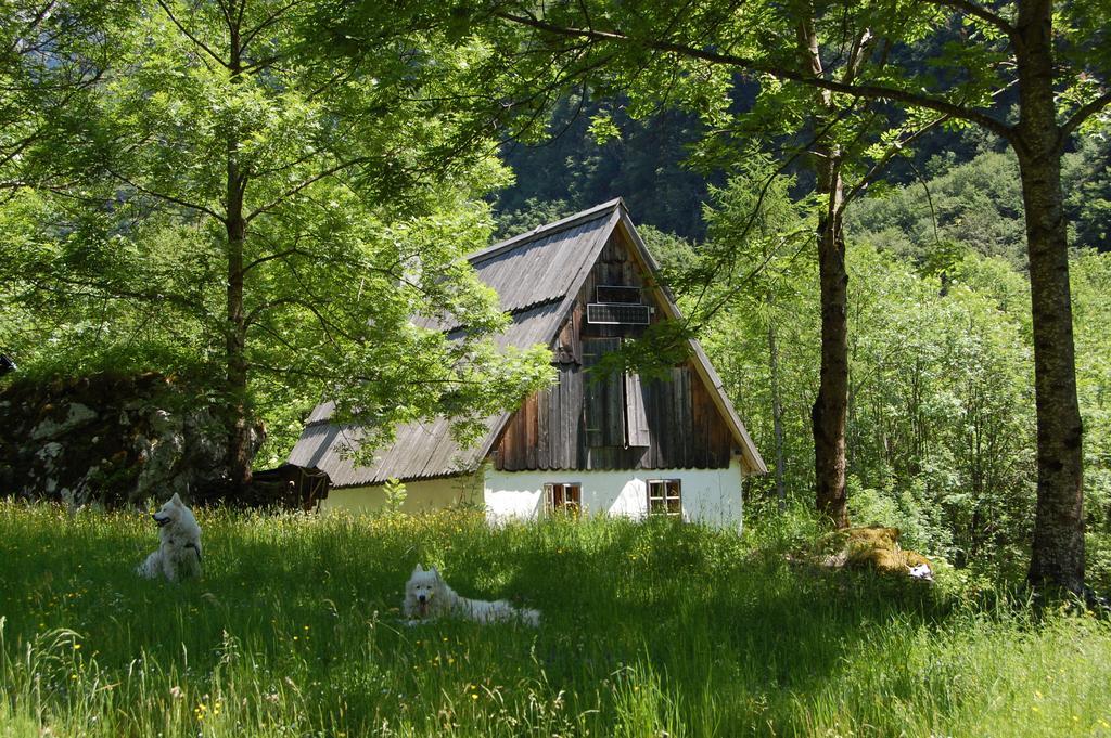 Villa Bezgova Hisica Bovec Esterno foto