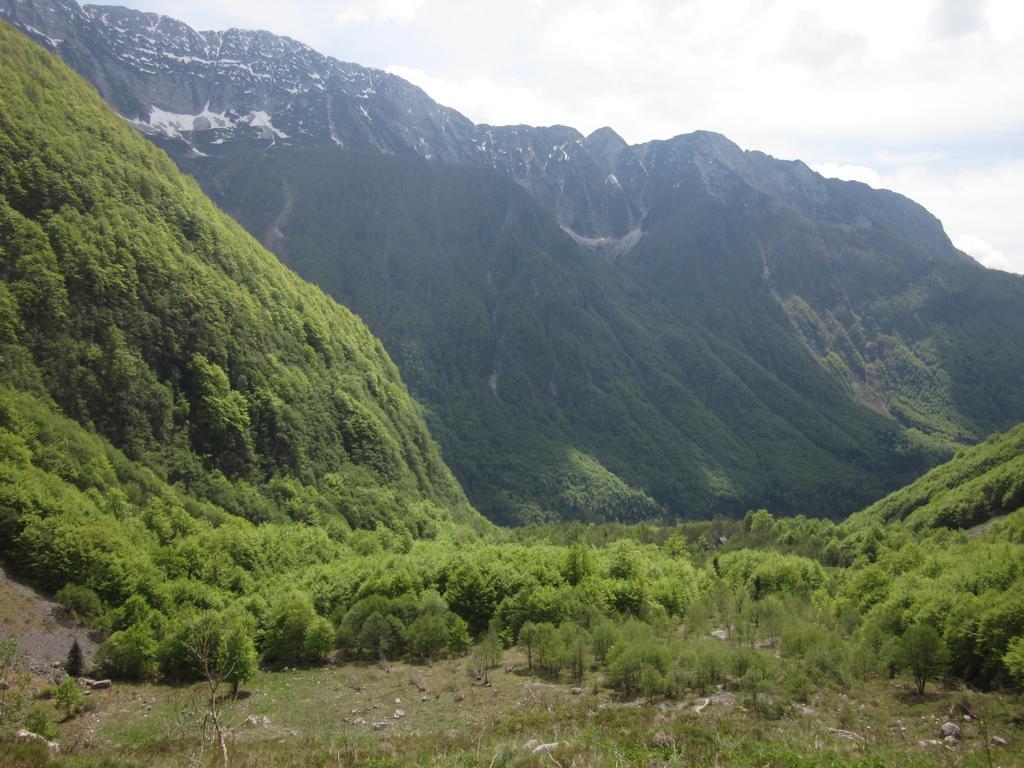 Villa Bezgova Hisica Bovec Esterno foto