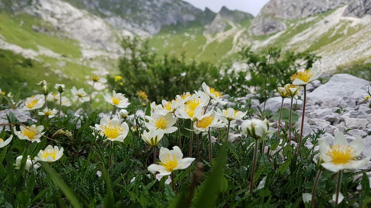 Villa Bezgova Hisica Bovec Esterno foto