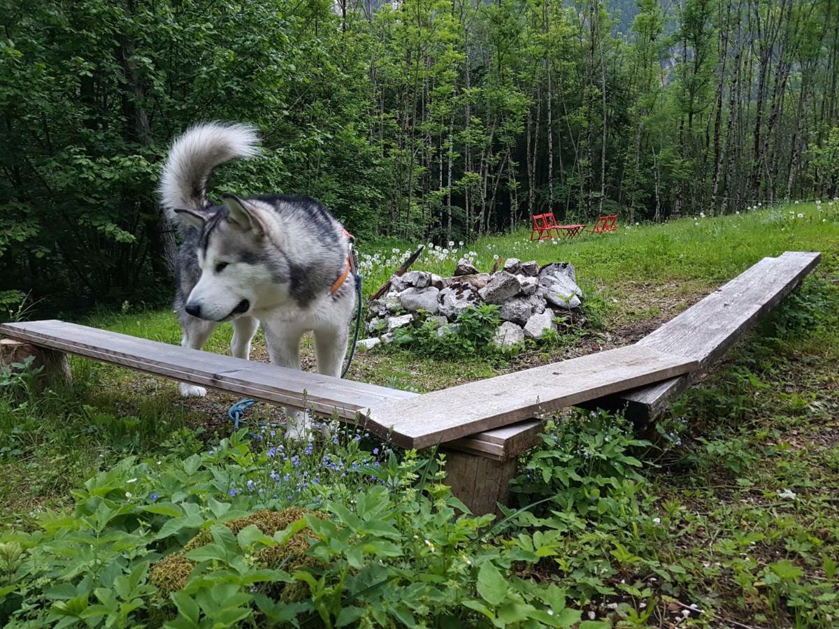 Villa Bezgova Hisica Bovec Esterno foto